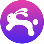 兔子IP正版