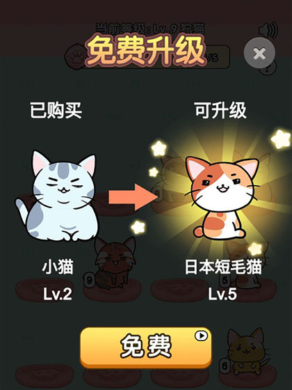 我的小猫中文下载