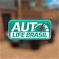 巴西汽车生活汉化版下载-巴西汽车生活中文版安装