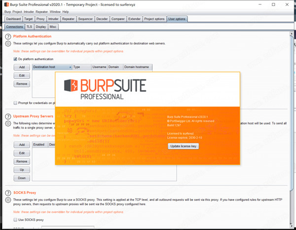 Burp Suite Professional 2020.2