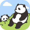 熊猫森林|熊猫森林本地下载