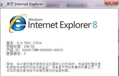 Internet Explorer 8官方版