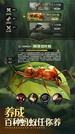小小蚁国最新中文版下载