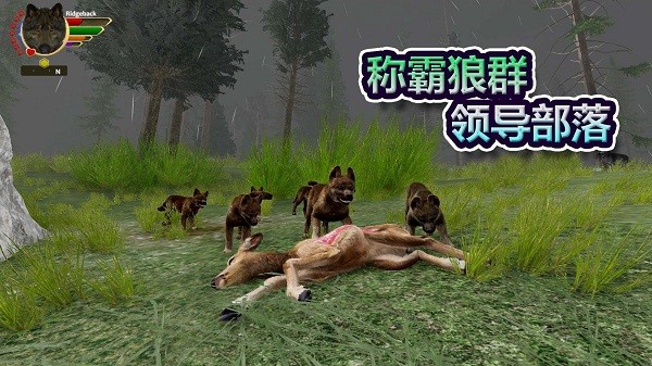 森林狼生存中文版