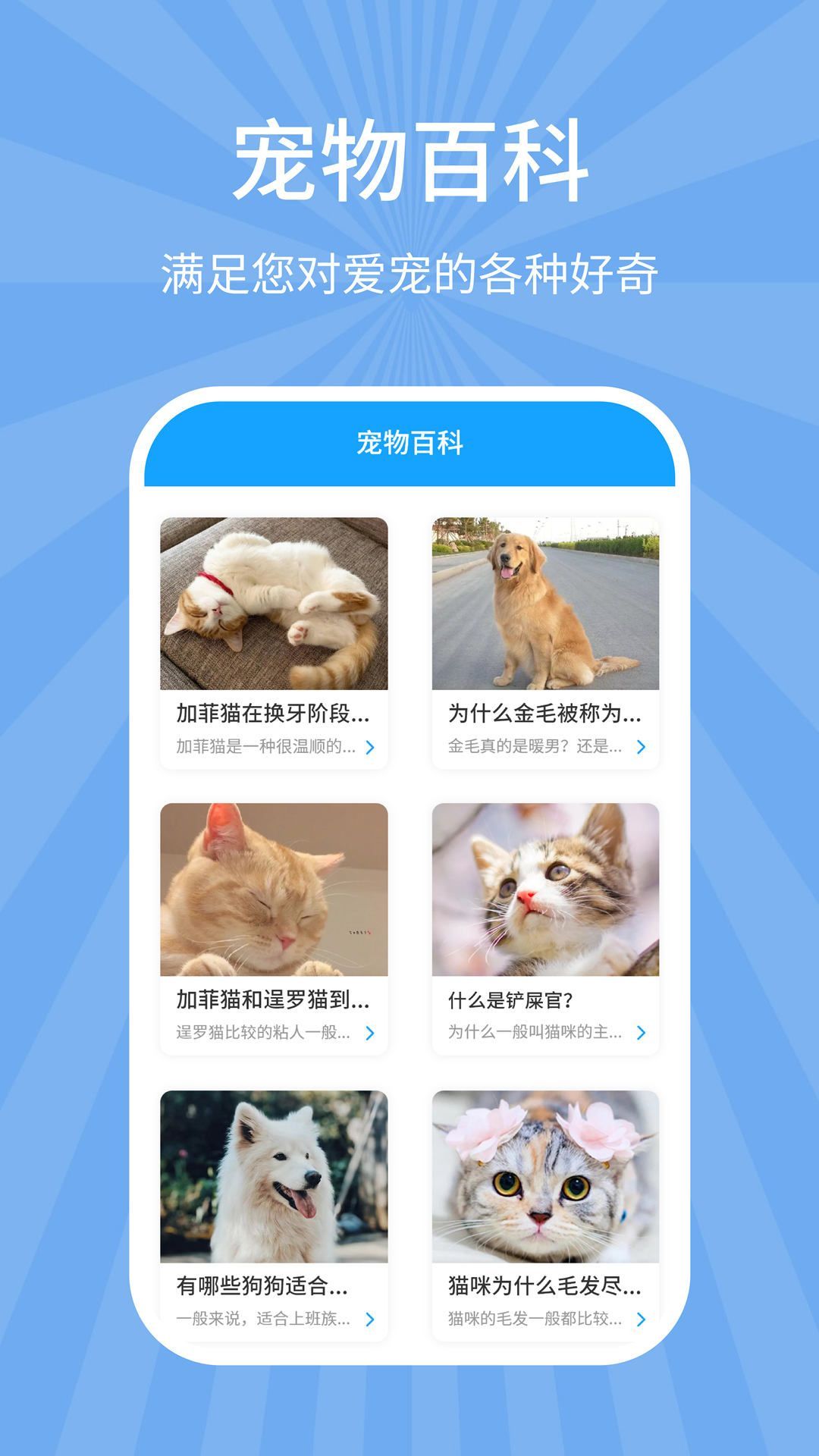 猫狗翻译器免费翻译版